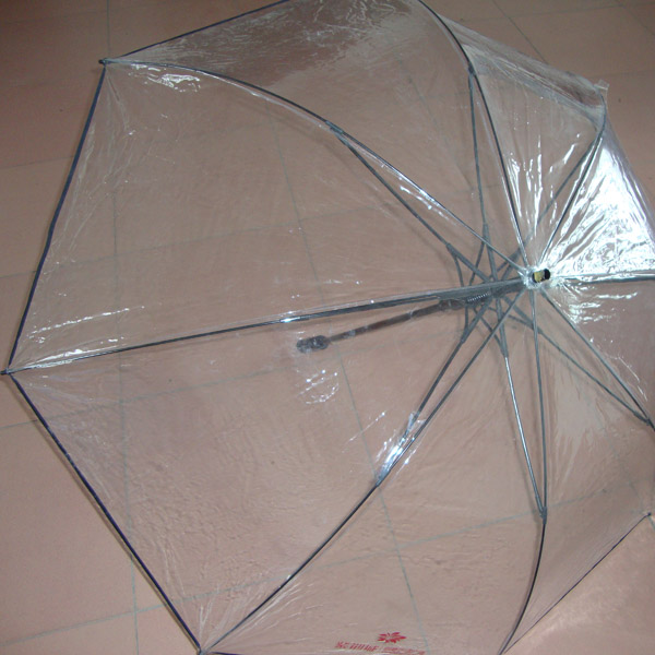 透明伞